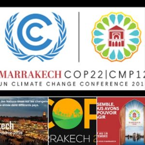 cop22